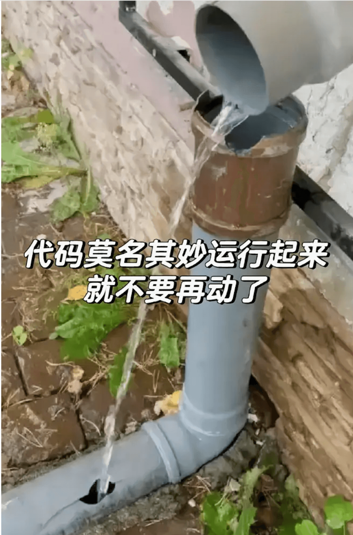 人生建议